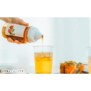 ふるさと納税 【 10回定期便 】< メープル...の詳細画像4
