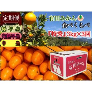 ふるさと納税 【 5年間 有田みかん 3種 食べ...の商品画像