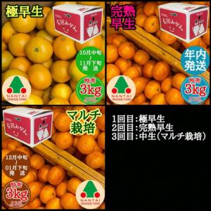 ふるさと納税 【 5年間 有田みかん 3種 食...の詳細画像3