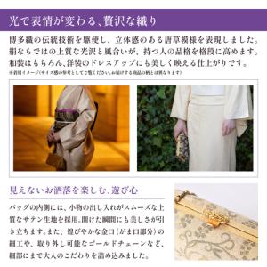 ふるさと納税 【ゴールド】パーティーバッグ ラ...の詳細画像2