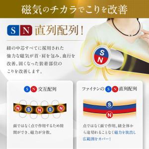 ふるさと納税 【ファイテン】RAKUWA磁気チ...の詳細画像1