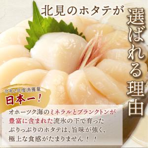 ふるさと納税 【2026年9月発送】北海道オホ...の詳細画像2