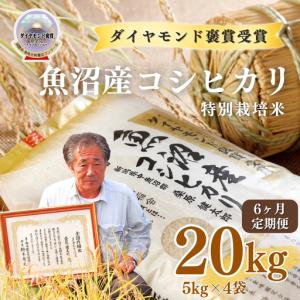 ふるさと納税 令和8年産 6ヶ月定期便 魚沼産コシヒカリ ダイヤモンド褒賞受賞 特別栽培米 20kg（5kg×4袋） |津南町 魚沼 新潟県津南町
