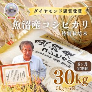 ふるさと納税 令和8年産 6ヶ月定期便 魚沼産コシヒカリ ダイヤモンド褒賞受賞 特別栽培米 30kg（5kg×6袋） |津南町 魚沼 新潟県津南町