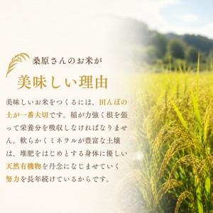 ふるさと納税 令和8年産 12ヶ月定期便 魚沼...の詳細画像1