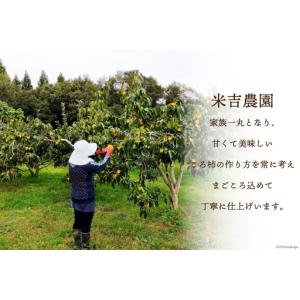 ふるさと納税 干し柿 ころ柿 3個〜5個入り ...の詳細画像4
