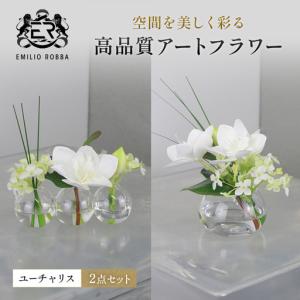 ふるさと納税 ユーチャリスセット エミリオロバ3W24S24 ユーチャリスセット【2点】 三重県名張市