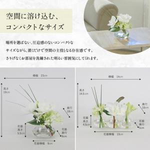 ふるさと納税 ユーチャリスセット エミリオロバ...の詳細画像1