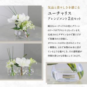 ふるさと納税 ユーチャリスセット エミリオロバ...の詳細画像2