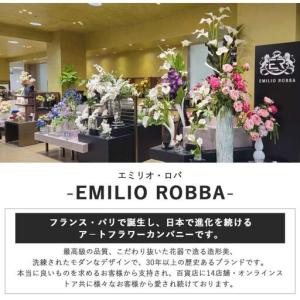 ふるさと納税 エミリオロバ ファレノプシス2点...の詳細画像2