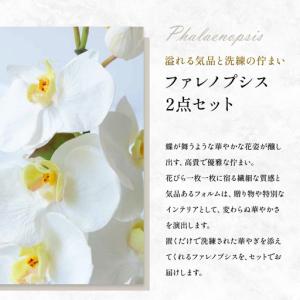 ふるさと納税 エミリオロバ ファレノプシス2点...の詳細画像3