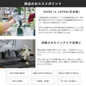 ふるさと納税 エミリオロバ ファレノプシス2点...の詳細画像4