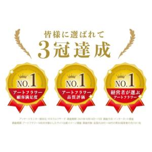 ふるさと納税 観葉植物 エミリオ・ロバ アイビ...の詳細画像3