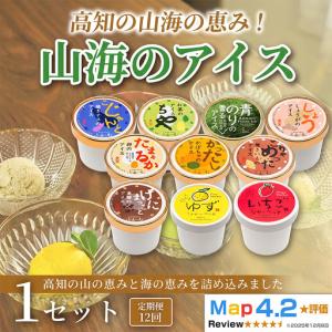 ふるさと納税 山海のアイス 10個 アイス定期便 12回 アイス_BQ120 高知県安芸市