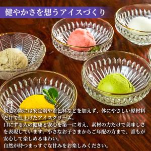 ふるさと納税 山海のアイス 10個 アイス定期...の詳細画像3