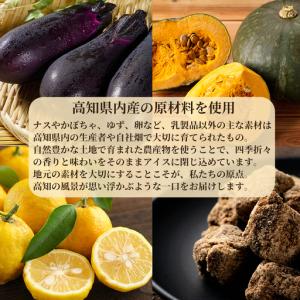 ふるさと納税 山海のアイス 10個 アイス定期...の詳細画像4