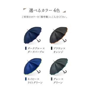 ふるさと納税 【トンボ洋傘前原光榮商店】メンズ...の詳細画像1
