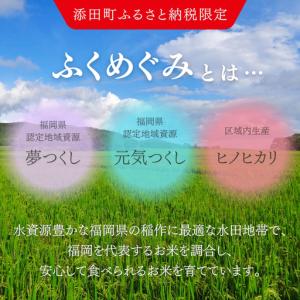 ふるさと納税 ★令和8年9月から順次発送★ 福...の詳細画像1
