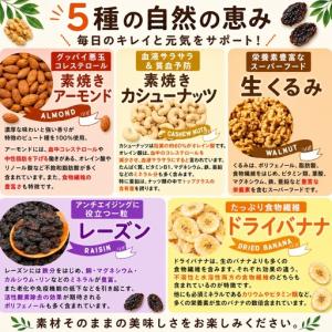 ふるさと納税 【6回定期】南国焙煎 フルーティ...の詳細画像1