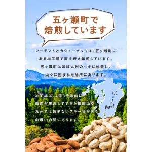 ふるさと納税 【6回定期】南国焙煎 フルーティ...の詳細画像4