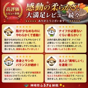 ふるさと納税 【スピード発送】佐賀牛ヒレシャト...の詳細画像1