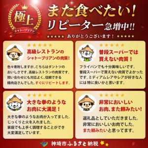 ふるさと納税 【スピード発送】佐賀牛ヒレシャト...の詳細画像2
