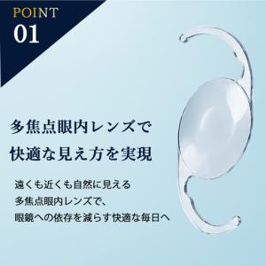ふるさと納税 【眼科】多焦点眼内レンズによる先...の詳細画像2