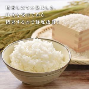 ふるさと納税 令和7年産 にじのきらめき 5k...の詳細画像3