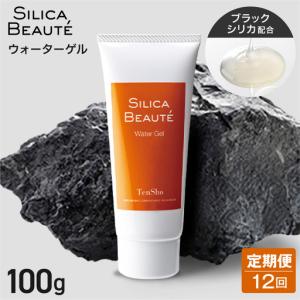 ふるさと納税 【12ヶ月定期便】シリカボーテ　ウォーターゲル100g | 化粧水 ゲル 保湿 スキンケア 美容 北海道 札幌市 北海道札幌市