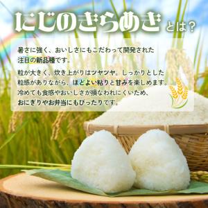 ふるさと納税 【2026年9月順次発送】新米 ...の詳細画像1