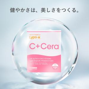 ふるさと納税 【6ヶ月定期便】【Lypo-C】...の詳細画像1