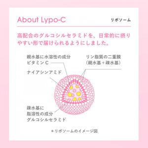 ふるさと納税 【6ヶ月定期便】【Lypo-C】...の詳細画像3