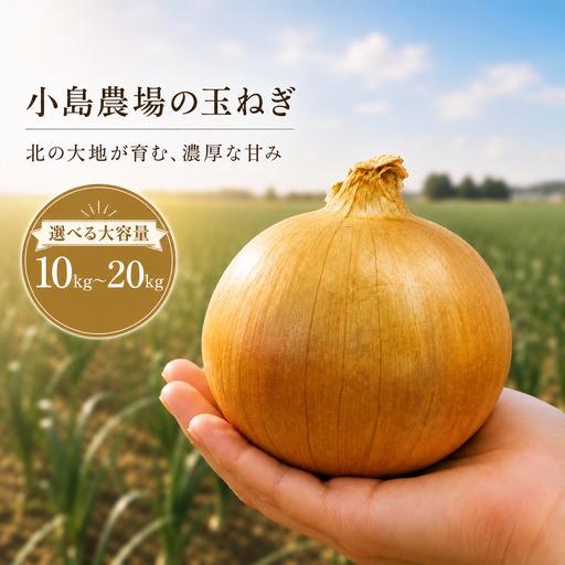 ふるさと納税 【先行予約】玉ねぎ 小島農場 20kg 美幌町産（2026年11月以降順次発送） AW...