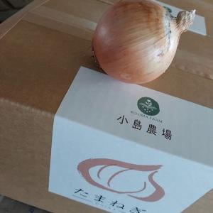 ふるさと納税 【先行予約】玉ねぎ 小島農場 2...の詳細画像2
