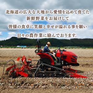 ふるさと納税 【先行予約】玉ねぎ 小島農場 2...の詳細画像3