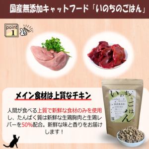 ふるさと納税 【定期便】国産無添加 キャットフ...の詳細画像1