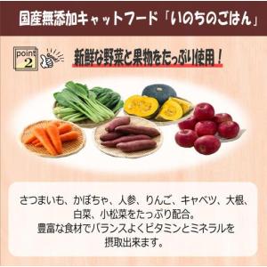 ふるさと納税 【定期便】国産無添加 キャットフ...の詳細画像2