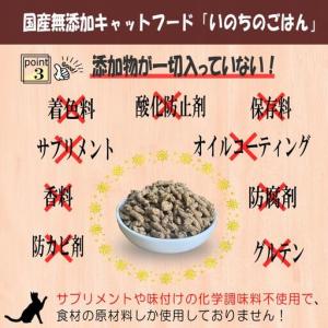 ふるさと納税 【定期便】国産無添加 キャットフ...の詳細画像3