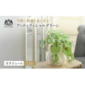 ふるさと納税 カラジュームL25 TUTEB-37200 三重県名張市