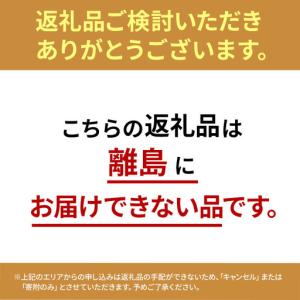 ふるさと納税 BONSAI 2L26-b TU...の詳細画像1