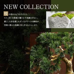 ふるさと納税 BONSAI 2L26-b TU...の詳細画像2