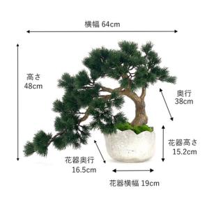ふるさと納税 BONSAI 2L26-b TU...の詳細画像3