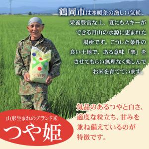 ふるさと納税 特別栽培米 つや姫 無洗米 10...の詳細画像1