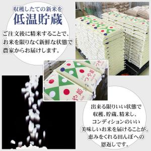 ふるさと納税 特別栽培米 つや姫 無洗米 10...の詳細画像4