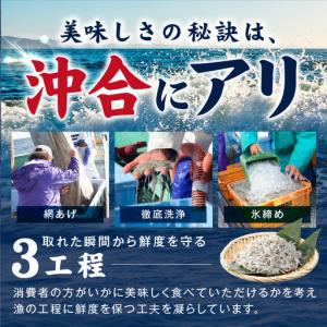 ふるさと納税 【期間限定】減塩 釜揚げしらす ...の詳細画像1