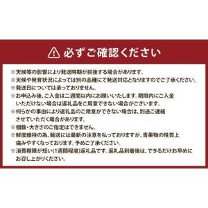 ふるさと納税 【 6ヶ月定期便 】 プロが選ぶ...の詳細画像2