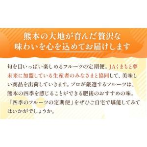 ふるさと納税 【 6ヶ月定期便 】 プロが選ぶ...の詳細画像4