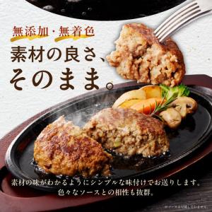 ふるさと納税 【期間限定】無添加 牛肉100%...の詳細画像2
