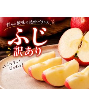 ふるさと納税 りんご 訳あり 3kg 果物 フルーツ わけあり 不揃い 規格外 ご家庭用 宮城県 大河原町 産地直送 林檎 リンゴ くだもの 先行予約 .. 宮城県大河原町