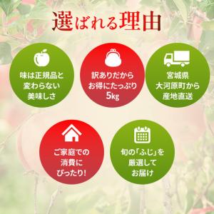 ふるさと納税 りんご 訳あり 3kg 果物 フ...の詳細画像1